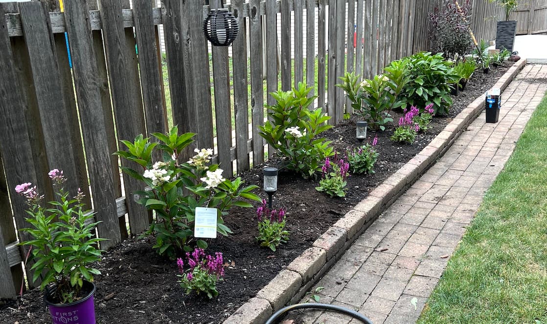 Erin's own backyard, a freshly planted bed along the fence line